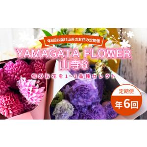 ふるさと納税 年6回お届け山形のお花の定期便 YAMAGATA FLOWER 山寺6 F2Y-3726 山形県
