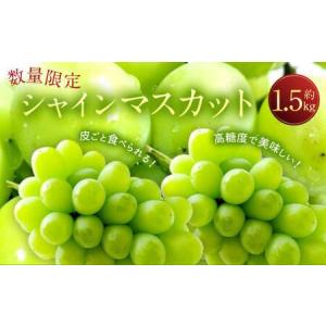 ふるさと納税 長崎県産 シャインマスカット 約1.5kg ぶどう フルーツ【2026年8月下旬-9月下旬迄順次発送予定】 長崎県時津町