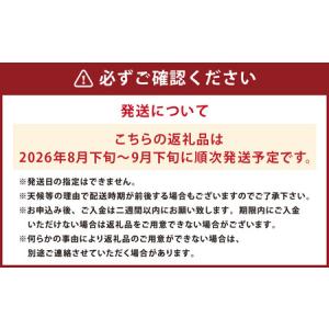 ふるさと納税 長崎県産 シャインマスカット 約...の詳細画像1