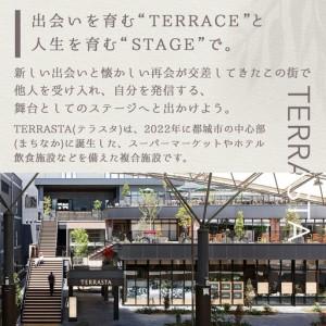 ふるさと納税 【HOTEL TERRASTA】...の詳細画像4