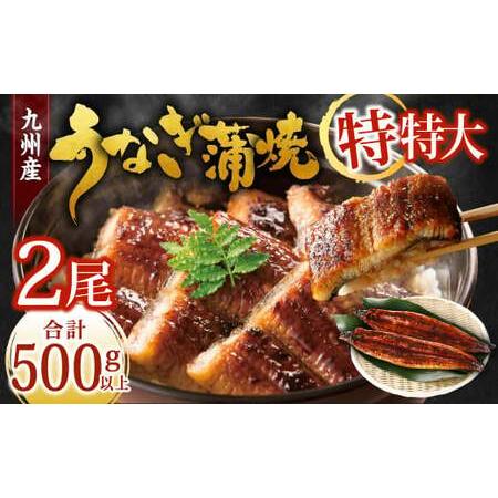 ふるさと納税 九州産 うなぎ蒲焼 特特大2尾 (1尾あたり250〜266g) 合計500g以上 福岡...