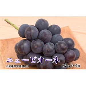 ふるさと納税 ぶどう 2026年 先行予約 ニュー ピオーネ 約2kg 3〜6房 岡山 岡山県瀬戸内市