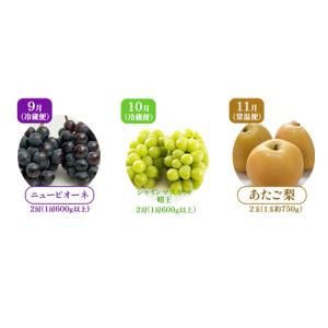 ふるさと納税 ぶどう 梨 定期便 2026年 ...の詳細画像1