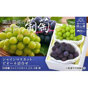 ふるさと納税 ぶどう 2026年 先行予約 果物 詰合せ シャイン マスカット 1房 ニュー ピオーネ 1房 合計約1kg 岡山県瀬戸内市