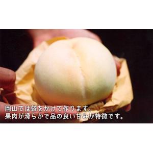 ふるさと納税 桃 ぶどう 2026年 先行予約...の詳細画像1