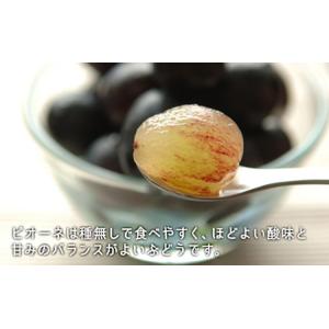 ふるさと納税 桃 ぶどう 2026年 先行予約...の詳細画像4