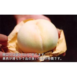 ふるさと納税 桃 ぶどう 2026年 白桃 晩...の詳細画像1