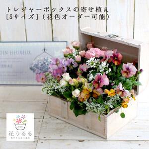 ふるさと納税 D015花うるるおまかせ寄せ植えト...の商品画像