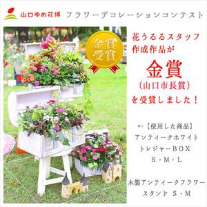 ふるさと納税 D015花うるるおまかせ寄せ植え...の詳細画像3