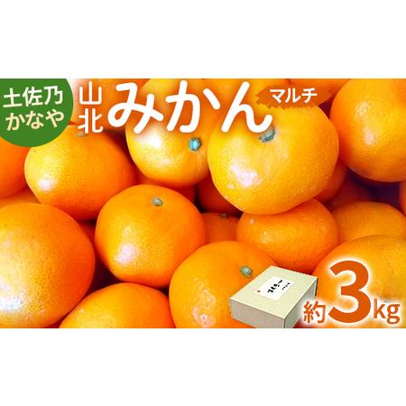 ふるさと納税 土佐乃かなや マルチ 山北みかん3kg - 柑橘 ミカン 果物 フルーツ のし かなや...