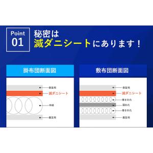 ふるさと納税 布団 シングル セット 掛敷布団...の詳細画像1