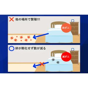 ふるさと納税 布団 シングル セット 掛敷布団...の詳細画像3