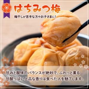 ふるさと納税 つぶれ 梅干し はちみつ梅干し ...の詳細画像2