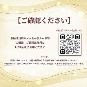 ふるさと納税 【60歳の還暦お祝いに】農林水産...の詳細画像4