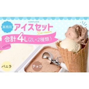 ふるさと納税 2Lアイス セット (バニラ・チョコ) 合計4L アイス 自家製 業務用 大容量 【2025年6月下旬順次発送開始】 熊本県熊本市