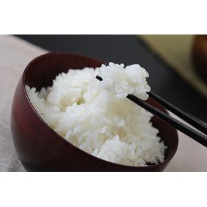 ふるさと納税 【新米】令和8年産 にじのきらめ...の詳細画像2