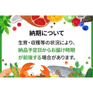 ふるさと納税 《定期便12ヶ月》【無洗米】あき...の詳細画像1