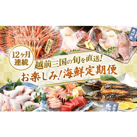 ふるさと納税 【12ヶ月定期便】越前三国の旬を直送 「お楽しみ！ 海鮮定期便」 [P-1602] 福...