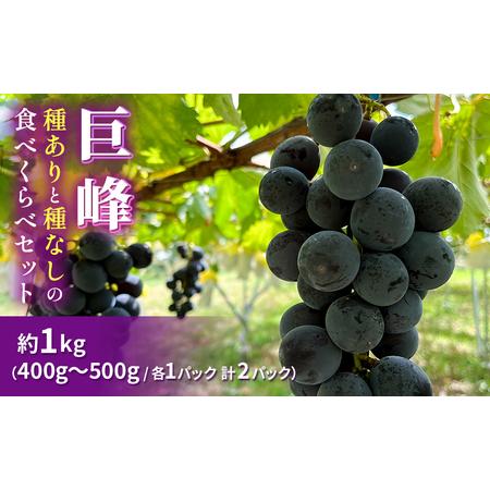 ふるさと納税 【早期受付】巨峰（種ありと種なし）の食べくらべセット 約1kg 2024年（R6年）9...