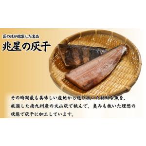 ふるさと納税 【 ほっけ 】 灰干し 干物 1...の詳細画像1