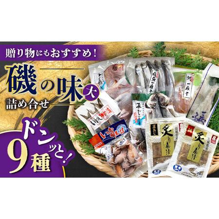 ふるさと納税 磯の味 セット 大 9種 詰合せ 一夜干 干物 明太漬け 長崎県 / お茶漬け 鯛 い...