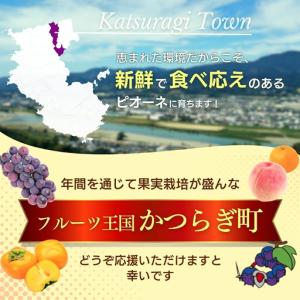 ふるさと納税 ピオーネ 種なしピオーネ 約2....の詳細画像3