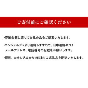 ふるさと納税 【あなただけの特別プラン】返礼品...の詳細画像4