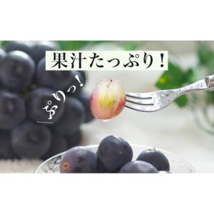 ふるさと納税 ぶどう 2026年 先行予約 果...の詳細画像2