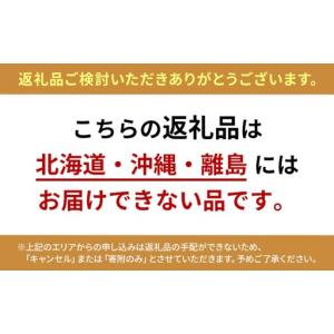 ふるさと納税 ぶどう 2026年 先行予約 果...の詳細画像3