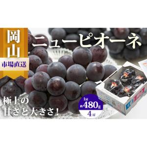 ふるさと納税 ぶどう 2026年 先行予約 ニュー ピオーネ 4房（1房480g以上）約2kg ブドウ 葡萄 岡山県産 国産 フルーツ 果物 ギフト 岡山県玉野市