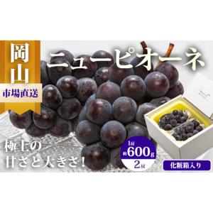 ふるさと納税 ぶどう 2026年 先行予約 ニュー ピオーネ 2房（1房600g以上）化粧箱入り ブドウ 葡萄 岡山県産 国産 フルーツ 果物 ギフト 岡山県玉野市