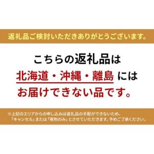 ふるさと納税 ぶどう 2026年 先行予約 ニ...の詳細画像2