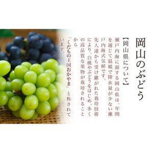 ふるさと納税 ぶどう 2026年 先行予約 ニ...の詳細画像3
