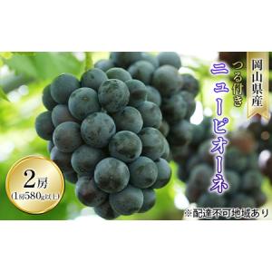 ふるさと納税 ぶどう 2026年 先行予約 つる付き ニュー ピオーネ 2房入り（1房 580g以上 露地栽培） ブドウ 葡萄 岡山県産 国産 フルーツ 果物 .. 岡山県玉野市