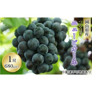 ふるさと納税 ぶどう 2026年 先行予約 つる付き ニュー ピオーネ 1房 680g以上（露地栽培） ブドウ 葡萄 岡山県産 国産 フルーツ 果物 ギフト 岡山県玉野市