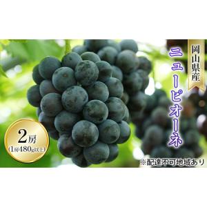 ふるさと納税 ぶどう 2026年 先行予約 ニュー ピオーネ 2房（1房 480g以上 露地栽培） ブドウ 葡萄 岡山県産 国産 フルーツ 果物 ギフト 岡山県玉野市