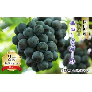 ふるさと納税 ぶどう 2026年 先行予約 ご家庭用 ニュー ピオーネ 優品 2房入り（1房 530g以上 露地栽培） ブドウ 葡萄 岡山県産 国産 フルーツ .. 岡山県玉野市