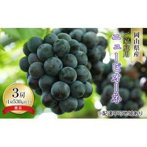 ふるさと納税 ぶどう 2026年 先行予約 ご家庭用 ニュー ピオーネ 優品 3房入り（1房 530g以上 露地栽培） ブドウ 葡萄 岡山県産 国産 フルーツ .. 岡山県玉野市