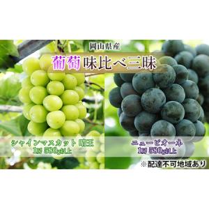 ふるさと納税 ぶどう 2026年 先行予約 葡萄 味比べ三昧 シャイン マスカット 晴王 1房 580g以上 ニュー ピオーネ 1房 580g以上（露地栽培）詰合.. 岡山県玉野市