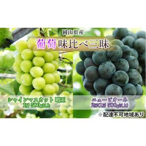 ふるさと納税 ぶどう 2026年 先行予約 葡萄 味比べ三昧 シャイン マスカット 晴王 1房 580g以上 ニュー ピオーネ 2房（1房 580g以上）（露地栽.. 岡山県玉野市