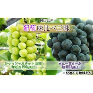 ふるさと納税 ぶどう 2026年 先行予約 葡萄 味比べ三昧 シャイン マスカット 晴王 2房（1房 580g以上）ニュー ピオーネ 1房 580g以上（露地栽培.. 岡山県玉野市
