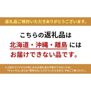 ふるさと納税 ぶどう 2026年 先行予約 葡...の詳細画像3