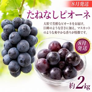 ふるさと納税 【定期便】夏の人気フルーツ定期便...の詳細画像2
