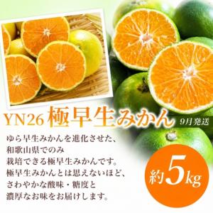 ふるさと納税 【定期便】夏の人気フルーツ定期便...の詳細画像3