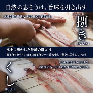 ふるさと納税 うなぎ蒲焼バラエティセット(三河...の詳細画像4