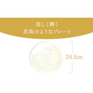 ふるさと納税 【美濃焼】ボナペティ8プレート ...の詳細画像2