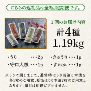 ふるさと納税 漬物 【全3回定期便】 奈良漬 ...の詳細画像4