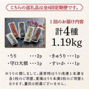 ふるさと納税 漬物 【全6回定期便】 奈良漬 ...の詳細画像4