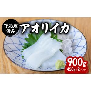 ふるさと納税 アオリイカ 処理済み 約900g 小分け 約45...