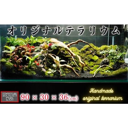 ふるさと納税 オリジナル テラリウム サイズ 90×30×36 手作り ハンドメイド 観賞用 千葉県...